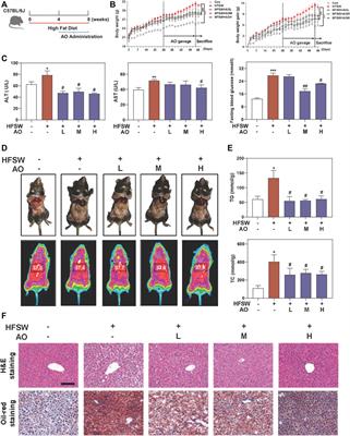 Aurantio-Obtusin Attenuates Non-Alcoholic Fatty Liver Disease Through AMPK-Mediated Autophagy and Fatty Acid Oxidation Pathways